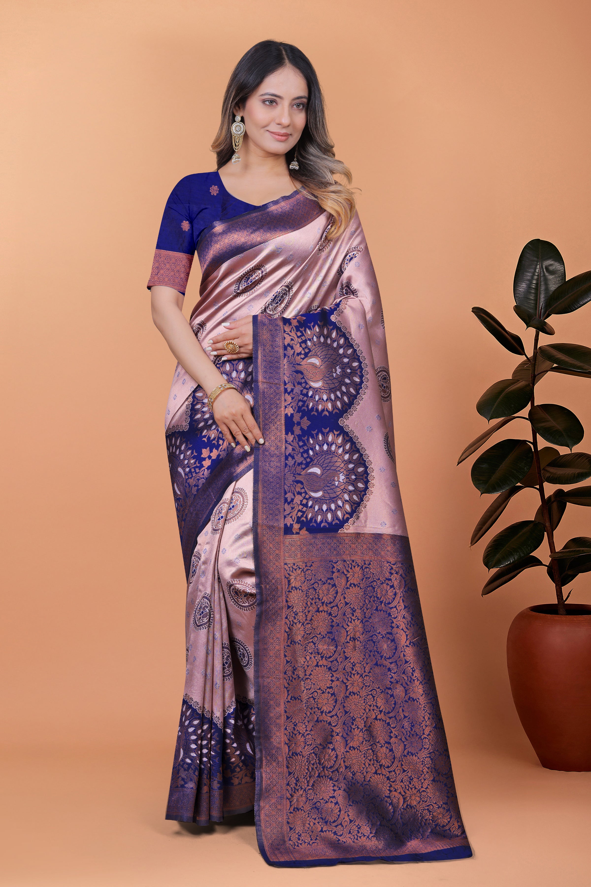 Banarasi Saree with Plum Borders with 8 Color